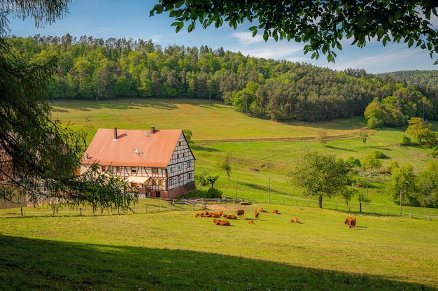 Free Photo what a beautiful region, the odenwald