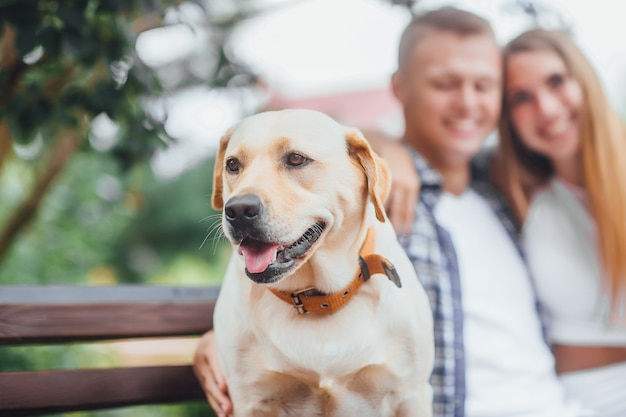 What a good boy! beautiful golden labrador with leash sitting with his owners at the park