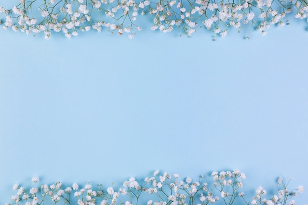 White baby breath's flower border on blue background with copy space for writing the text