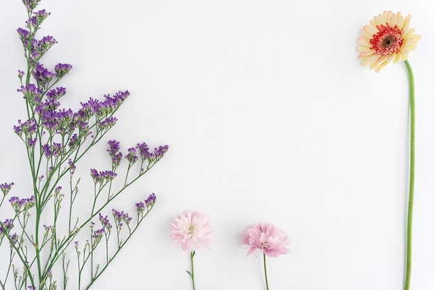 White background with different flowers