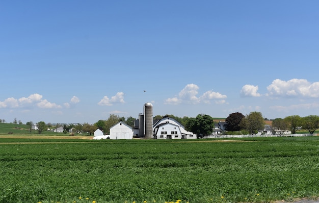 Free photo white barns and silos surrounded by lush green vegetation.