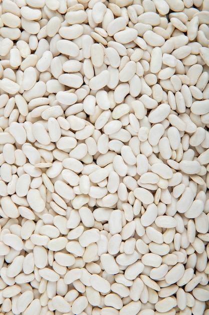 White beans texture top view