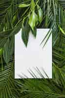 Free photo white blank paper on the fresh green leaves background