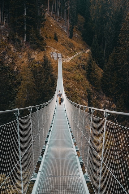 White bridge in the forest