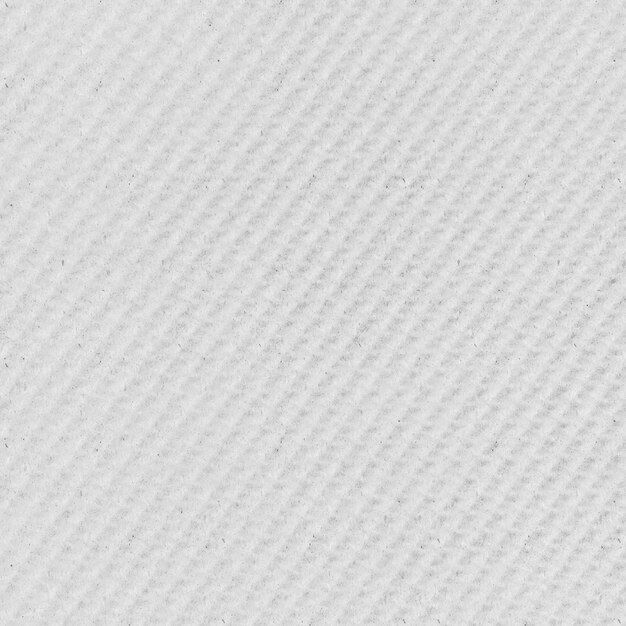 White canvas texture