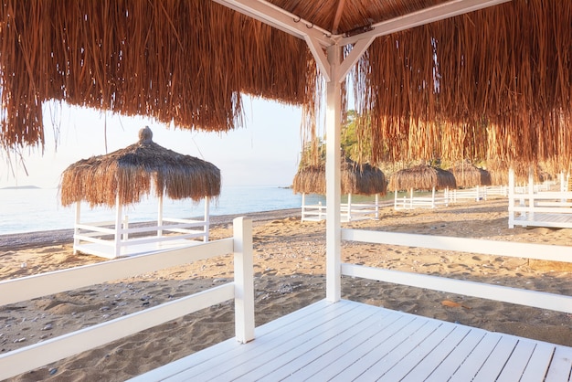 Free photo white chairs on the beach resort famous amara dolce vita luxury hotel. resort. tekirova-kemer. turkey.