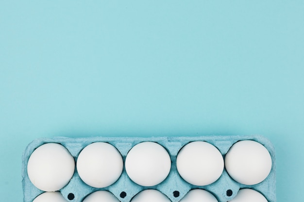 White chicken eggs in rack on blue table