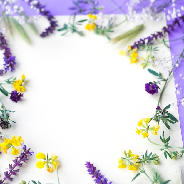 White circular frame made with flowers for writing text