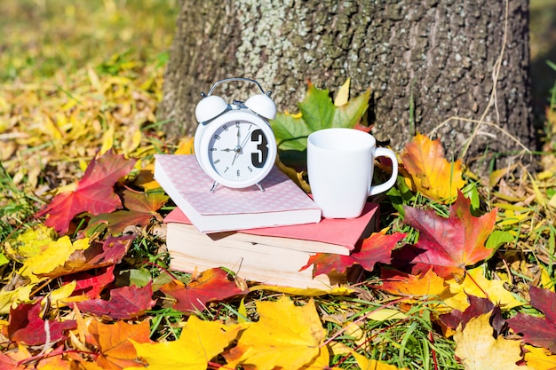 Free Photo white clock and books over dry leaves