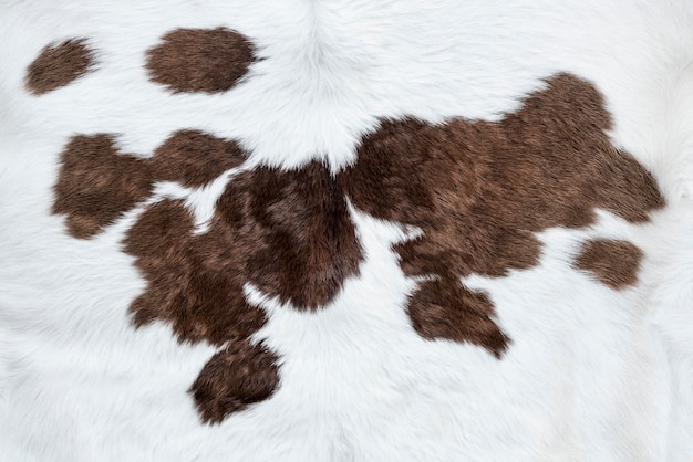 Free Photo white cow hide with brown patches background