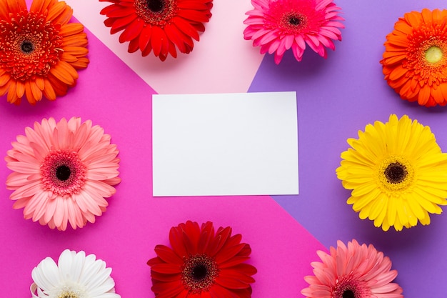 Free photo white empty card surrounded by gerbera daisies