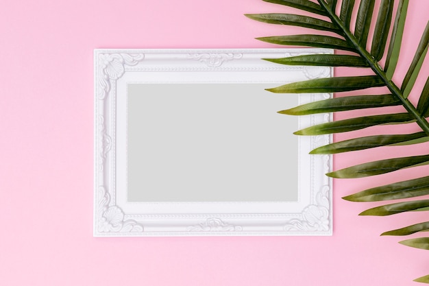 White empty frame with fern leaf