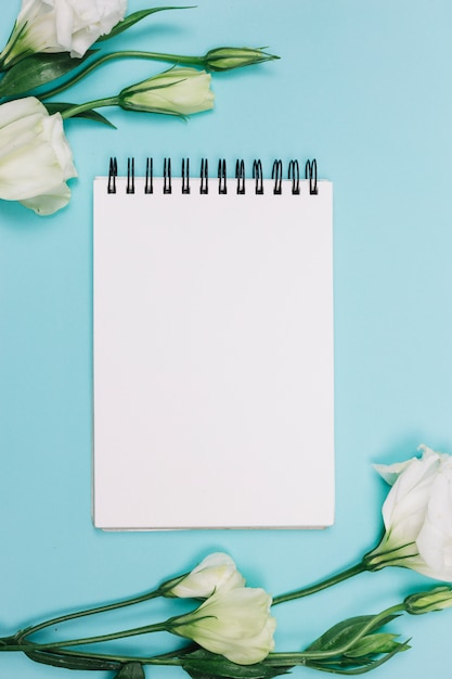 White eustoma flower with blank spiral notepad on blue background