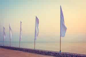 Free photo white flag