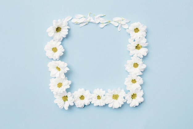 Free photo white flower forming square frame on plain background