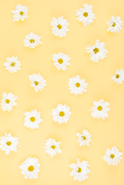 White flower pattern on beige background