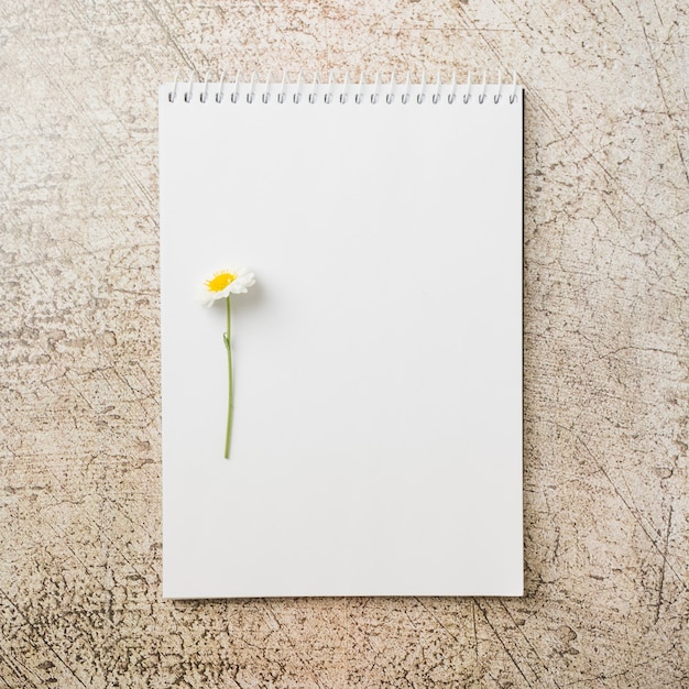 Free photo white flower on spiral bank note pad on grunge backdrop