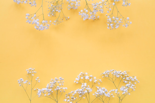 Free Photo white flowers border over the yellow backdrop