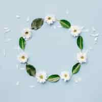 Free photo white flowers and green leaves arranged in circular shape over blue background