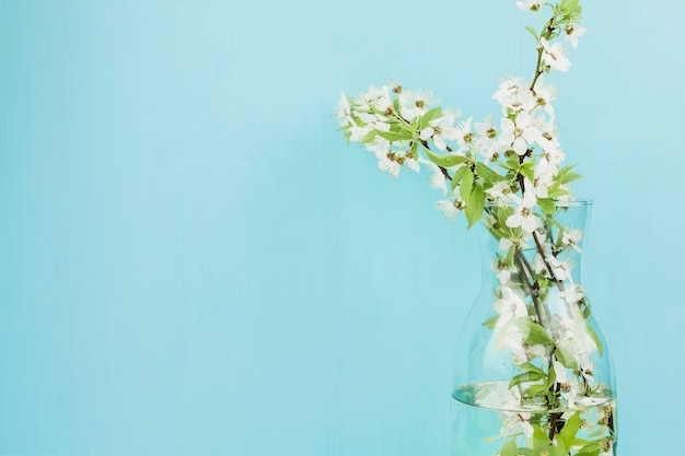 Free photo white flowers inside a vase