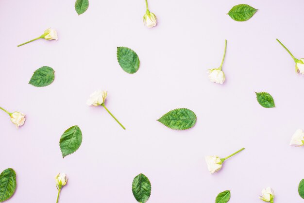 White flowers near leaves