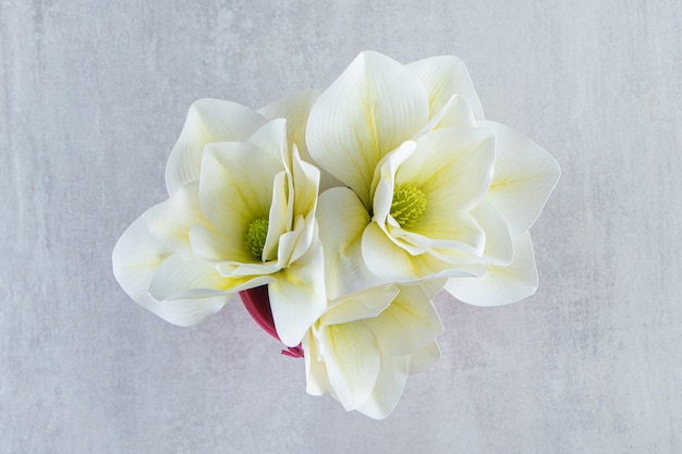 White flowers in a pink bucket , on the white background. High quality photo