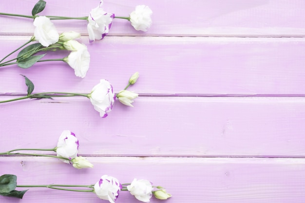 Free photo white flowers with bud on pink painted wooden background