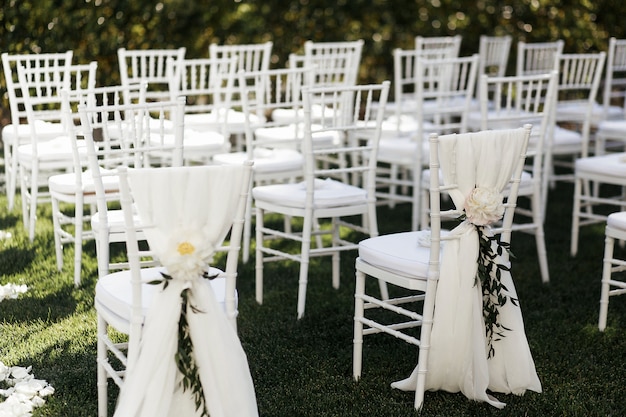 Free Photo white flowers with green branches decorate chairs