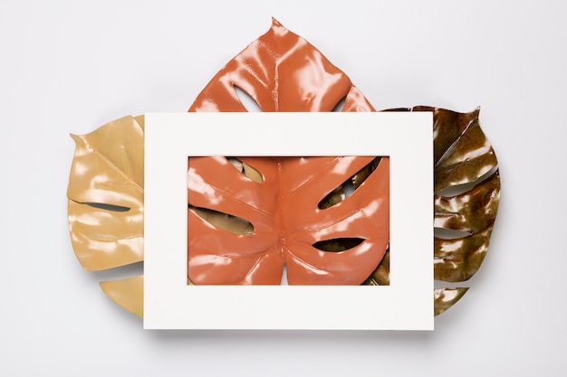 Free Photo white frame on neutral leaves