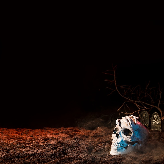 Free photo white gloomy skull on ground