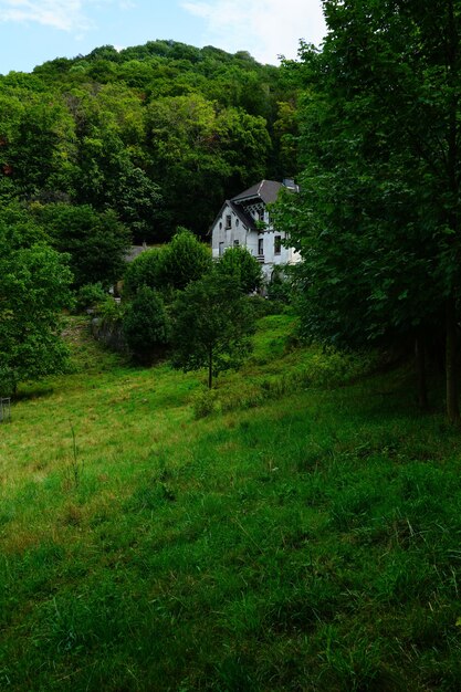 White house in the forest full of green trees