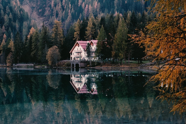 White House Surrounded by Trees