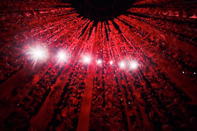 White lamps shine through the threads with rose petals and red ribbons