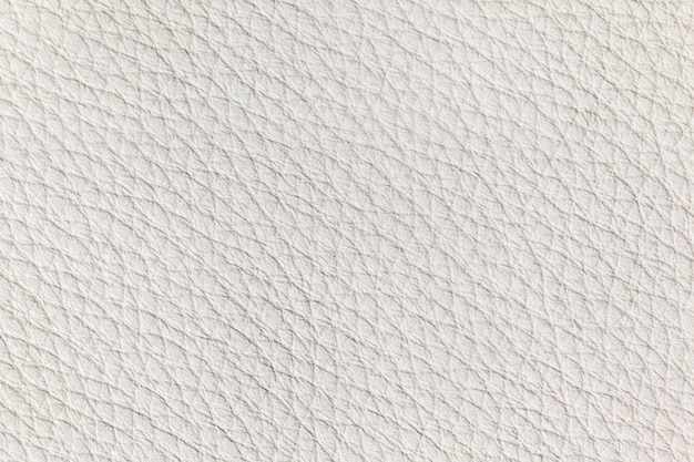 White leather texture close up