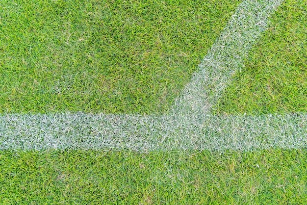 Free photo white line on a soccer field grass