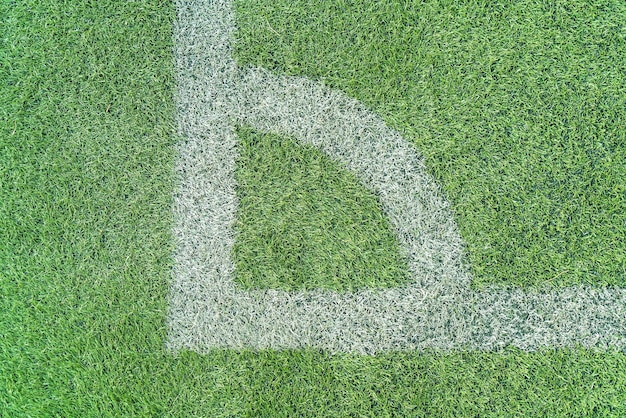 White line on a soccer field grass