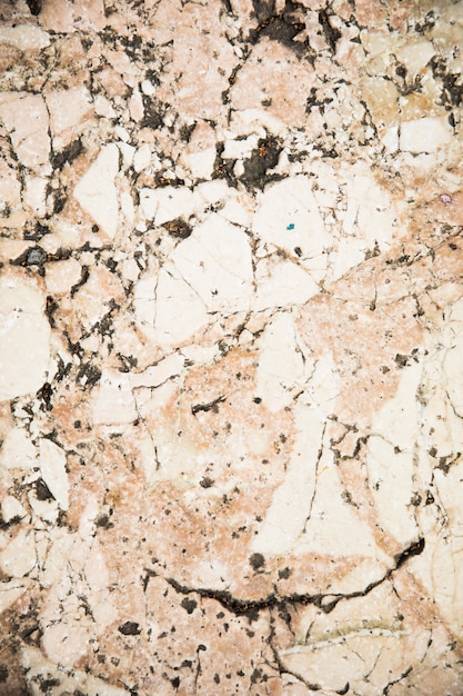 White marble texture close up