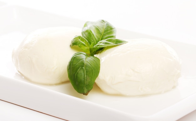 Free photo white mozarella cheese with mint leaves