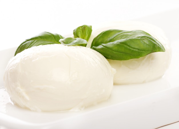 Free photo white mozarella cheese with mint leaves