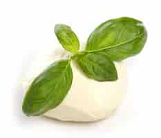 Free photo white mozarella cheese with mint leaves