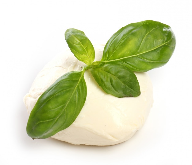 White mozarella cheese with mint leaves