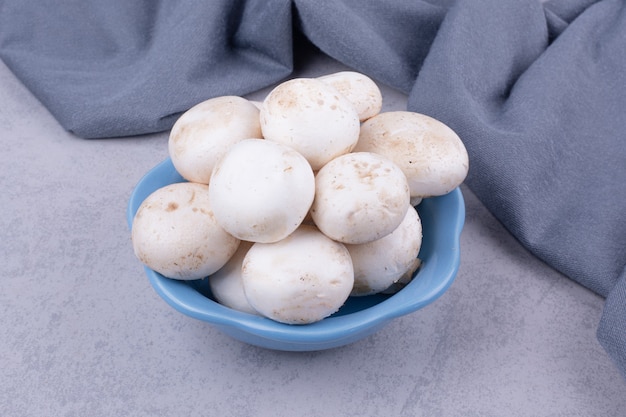 White mushrooms in a blue bowl on the ground