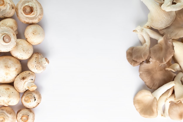 White mushrooms fresh ripe mushrooms on white background