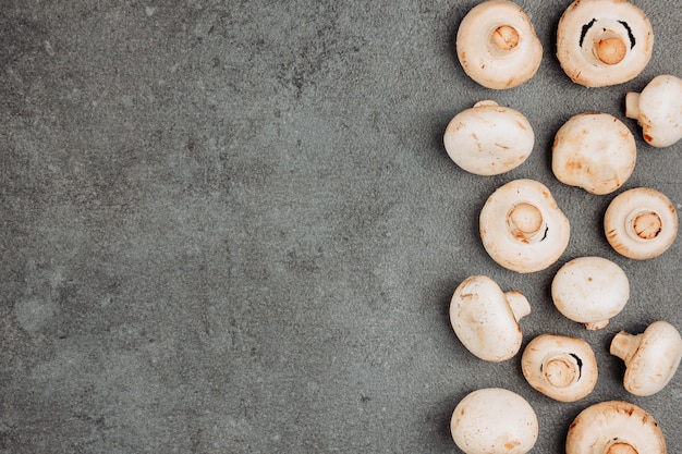 White mushrooms on a gray textured background. top view. space for text