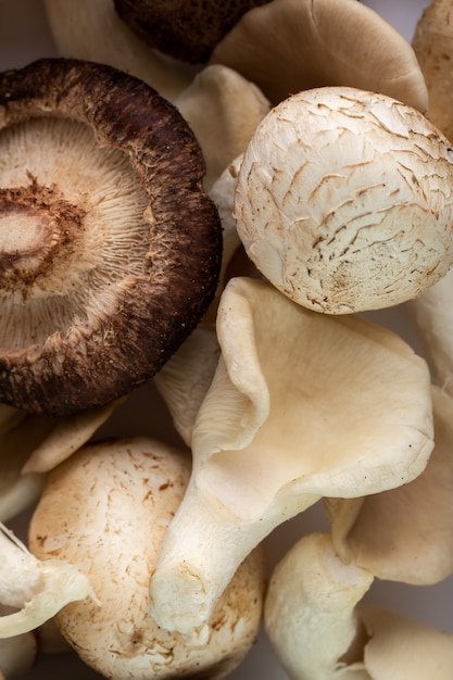 White mushrooms ripe mellow mushrooms isolated on white background