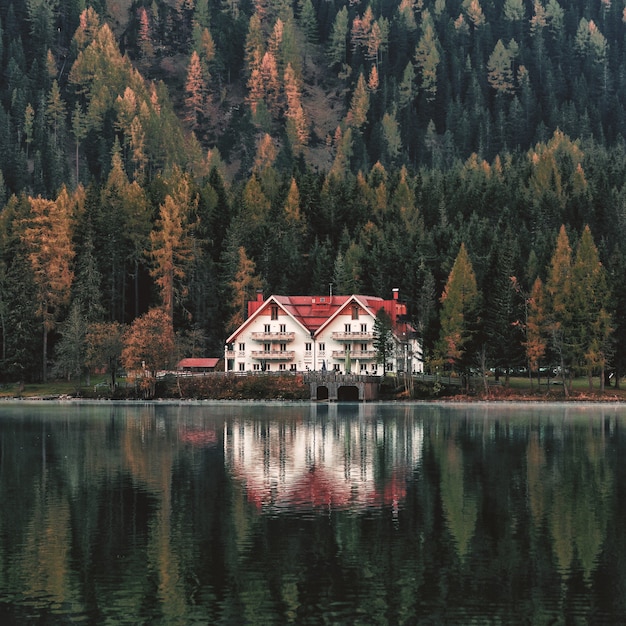 Free photo white and orange house beside forest and body of water