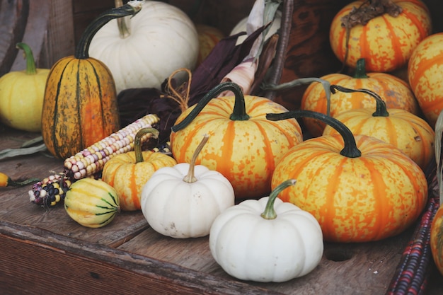 Free photo white and orange pumpkins on brown wooden table