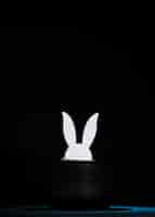 Free photo white paper cut out rabbit heads in the top black hat against black background