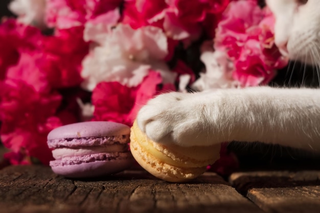 Free photo a white paw of the cat reaching for a yellow creamy macaroon on the wooden board pink bouquet