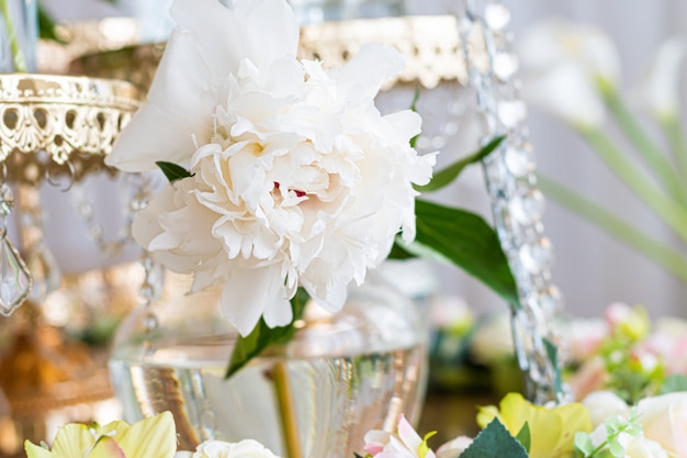 White peony flower close up on a glass jar.